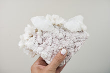 Load image into Gallery viewer, Apophyllite and Stilbite on Chalcedony Cluster