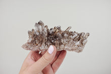 Load image into Gallery viewer, Medium Smoky Quartz Cluster