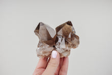 Load image into Gallery viewer, Small Smoky Quartz Cluster