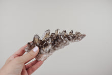 Load image into Gallery viewer, Medium Smoky Quartz Cluster