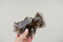 Load image into Gallery viewer, Medium Smoky Quartz Cluster