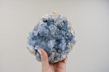Load image into Gallery viewer, Large Celestite Cluster