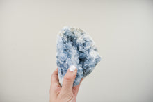 Load image into Gallery viewer, Celestite Cluster