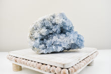 Load image into Gallery viewer, Celestite Cluster