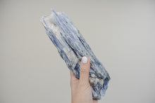 Load image into Gallery viewer, Medium Blue Kyanite Cluster