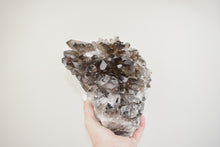 Load image into Gallery viewer, Large Smoky Quartz Cluster