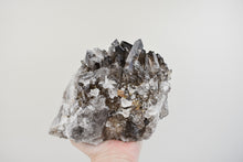 Load image into Gallery viewer, Large Smoky Quartz Cluster