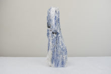 Load image into Gallery viewer, Medium Blue Kyanite Flat Base Cluster