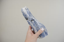 Load image into Gallery viewer, Medium Blue Kyanite Flat Base Cluster
