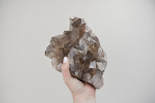 Load image into Gallery viewer, Large Smoky Quartz Cluster