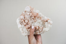 Load image into Gallery viewer, Apophyllite Cluster