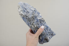 Load image into Gallery viewer, Medium Blue Kyanite Flat Base Cluster
